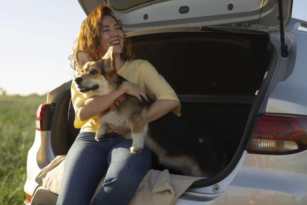Viajar con mascotas en coche por Ibiza
